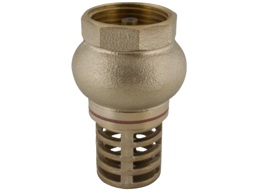 2200 2" sací koš PN 10