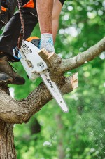 Pila motorová STIHL MS 151 TC-E