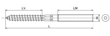 Šroub KOMBI M10x100mm TORX ZB